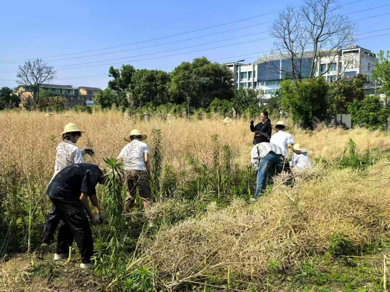 田垄翻浪，镰映青春 ——川大数院学子躬耕田园，劳动实践彰显青春活力-四川大学数学学院